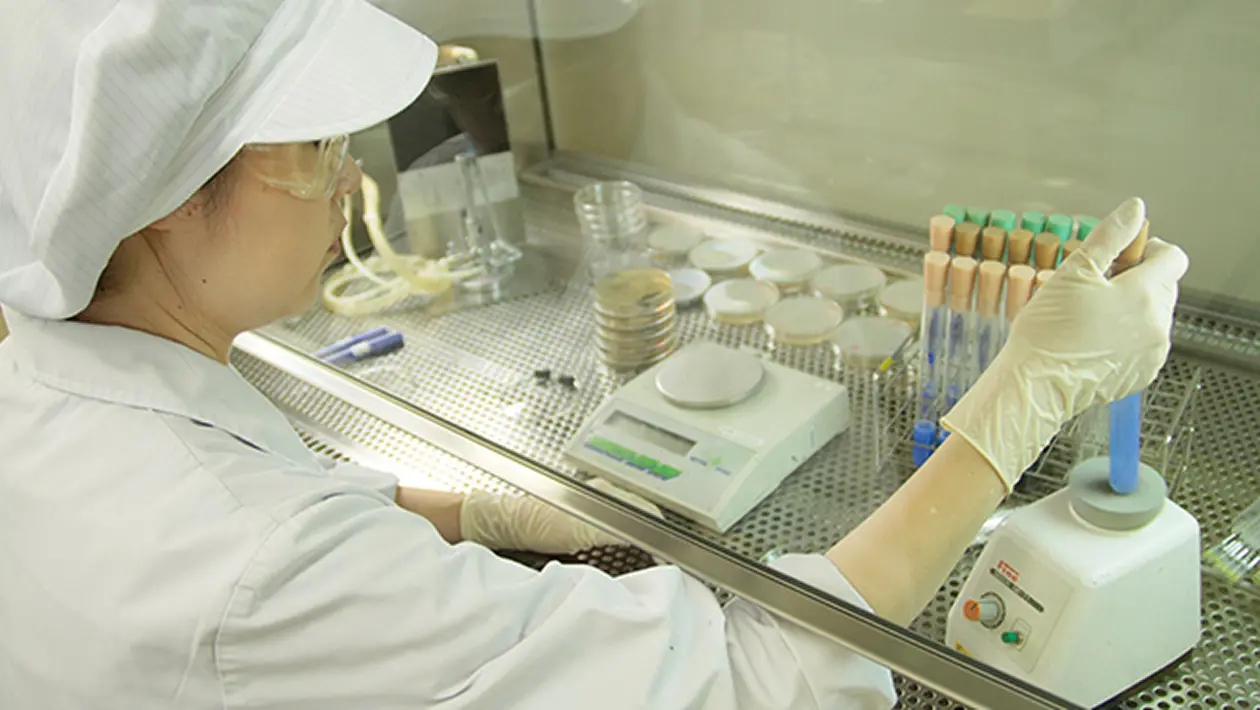 品質管理部門の様子